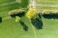 Top view of bushes on the edge of the meadow