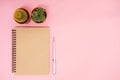 top view business background workspace with cactus, pen and blank notebook on pink table. image for education, desktop, copy