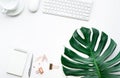 Top view of business desk table with monstera leaves and mock up Royalty Free Stock Photo
