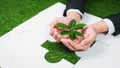 Top view businessman holding sprout over jigsaw puzzle. Gyre Royalty Free Stock Photo