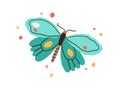 Top view of butterfly with bright spotty wings. Exotic flying insect in doodle style. Colored flat vector illustration