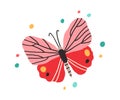 Top view of butterfly with bright spotty wings. Exotic flying insect in doodle style. Colorful flat vector illustration