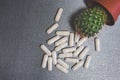 Top view of a cactus and white capsules or medicines on gray background Royalty Free Stock Photo