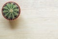 Top view of a Cactus Royalty Free Stock Photo