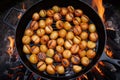top view of campfire with evenly distributed baking potatoes