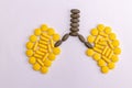 Top view of capsules and tablets making a lung shape on white background. Chest physician concept Royalty Free Stock Photo