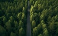 Top view of car is driving along the road among the dense forest. Aerial view forest with car on the asphalt road. Generative AI Royalty Free Stock Photo