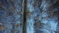 Top view of the car riding in the woods. Footage. The car goes on a winter road in the woods Royalty Free Stock Photo