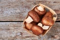 Top view of champignon basket. Royalty Free Stock Photo