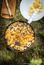 Top view of chanterelles in a pan on grass with a cutting board and a plate