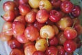 Top view of cherries in a pile covered with waterdrops