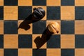 Top view Chess Knights stand on chess board with shadows