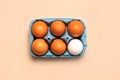 Top view of chicken eggs in an open blue cardboard box Royalty Free Stock Photo