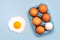 Top view of chicken eggs in an open blue cardboard box and a fried egg Royalty Free Stock Photo