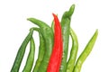 Top view chili pepper isolated on white background