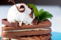 Top view of chocolate biscuits covered with vanilla ice cream ba Royalty Free Stock Photo