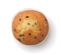 Top view of chocolate chip muffin Royalty Free Stock Photo