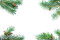 Top view on Christmas green framework. Tree pine or spruce branches with cones isolated on white background with copy space for