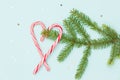 Top view on Christmas tree branch with nice round decoration on blue background. Holiday season concept. Merry Christmas