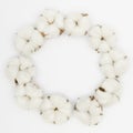 top view circular frame with white cotton flower. High quality photo