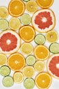 Top view of citrus fruits, Orange, tangerine, lemon, lime and grapefruit slices or circles isolated over white Royalty Free Stock Photo