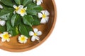 Top view clay water bowl with white flower (plumeria or frangipani) and green leaf isolated on white. Saved with clipping path