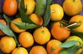 Top view of clementines or tangerines heap, citrus fruits with g Royalty Free Stock Photo