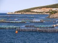 Top view from the cliffs of the Aegean sea and a fish farm on the Greek island of Evia in Greece on a Sunny day