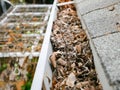 Top view clogged dirty gutter backyard residential home in Dallas, Texas, USA, full of dried leaves, twig, debris on eavestrough Royalty Free Stock Photo