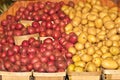 Baskets of Yukon and red potatoes, at tropical farmers market Royalty Free Stock Photo