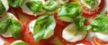 Top view on close panorama with caprese salad, white mozzarella, red tomatoes and green basil leaves