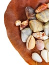 Top view close up of a brown dry leave with assortment of small seashells with clipping path