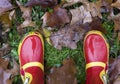 Top view close up of children red boots on autumn fallen leaves Royalty Free Stock Photo