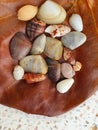 Top view close up of a dry leave with assortment of small seashells on white polished stone, macro