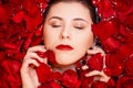 Top view, close-up face of a young woman in a bathtub full of red rose petals. Beauty portrait of an attractive girl. Royalty Free Stock Photo