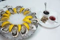Top view close up filled frame food shot of fresh raw shucked open oysters lying between lemon slices on a round cold ice tray