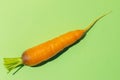 Top view close-up fresh ripe orange carrot on green backdrop with copy space. Advertising healthy natural food Royalty Free Stock Photo