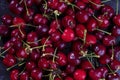 Top view and close up on fresh, wet, dark cherries. Royalty Free Stock Photo
