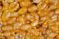 Top view, close up: granola peanut bar - Gozinaki Royalty Free Stock Photo