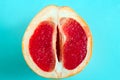 Close up grapefruit on a blue background