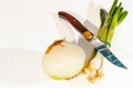 Half a yellow onion, four scalions and knife with serated blade Royalty Free Stock Photo