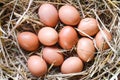 Top view close-up many fresh eggs on wooden straw background