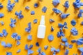 Top view and close-up of mockup of unbranded white plastic spray bottle and petals of blue hydrangea flowers on orange background