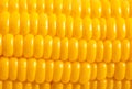 Top view close up photo image of yellow sweet corn Royalty Free Stock Photo