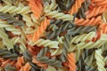 Top View of Closed up Uncooked Tricolor Fusilli, Twist Shaped Pasta in Three Colors Royalty Free Stock Photo