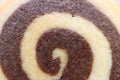 Top view of Closed up vanilla and chocolate swirl butter cookie, for texture and background