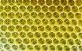 Top view closeup of empty natural hexagonal honeycomb background