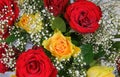 Top view closeup of isolated fresh cut flowers bouquet with red and yellow roses, white gypsophila paniculata for decoration Royalty Free Stock Photo