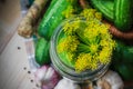 Top view closeup jar pickles other ingredients pickling Royalty Free Stock Photo