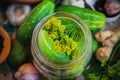 Top view closeup jar pickles other ingredients pickling Royalty Free Stock Photo